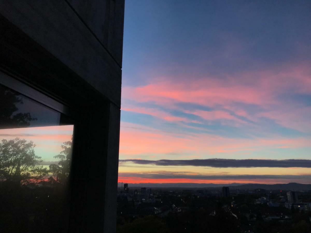 Ferienwohnung-Freiburg-Exklusiv Eksteriør billede